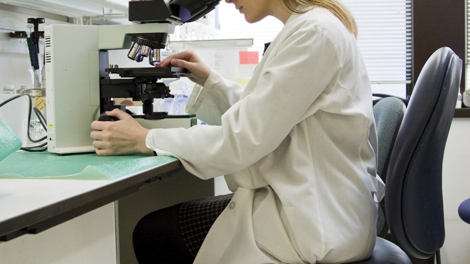 Vi sinh thực phẩm: Coliform, E. coli, Salmonella — đọc kết quả thế nào?